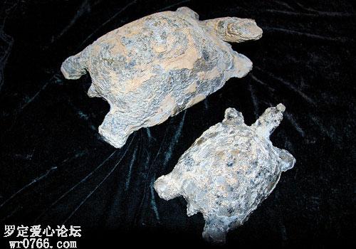 ڳһڹ껯ʯ.jpg