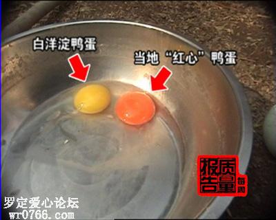 20061114084418415.jpg