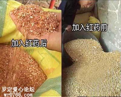 20061114084418411.jpg