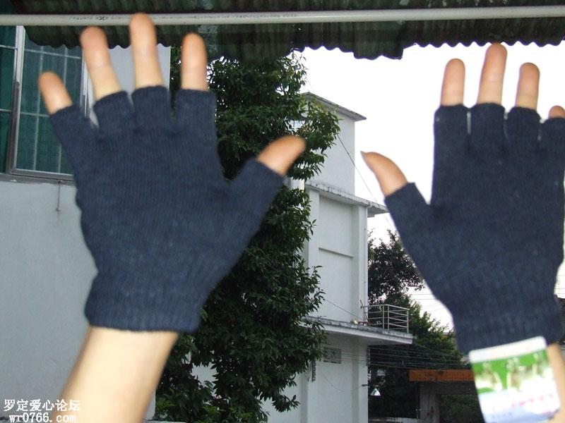 DSCF8645.jpg