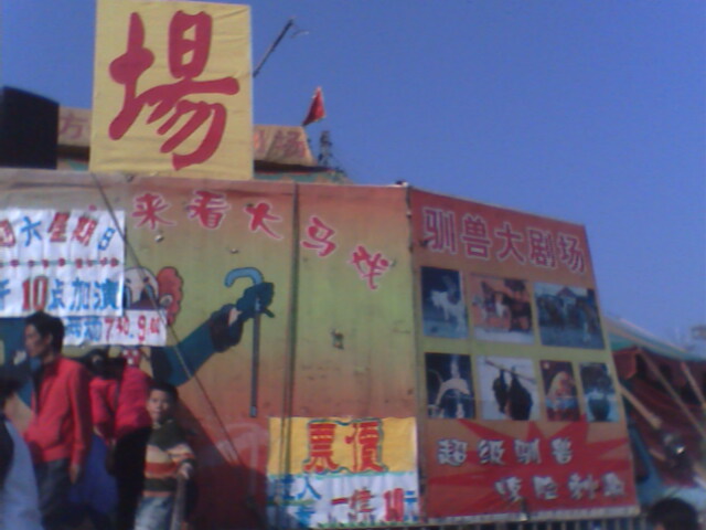IMG2391A.jpg