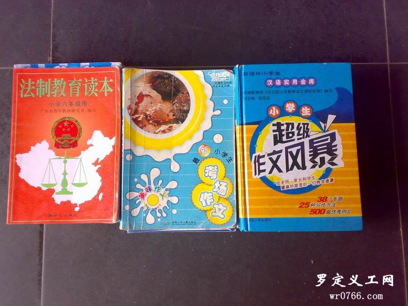 20100529084.jpg